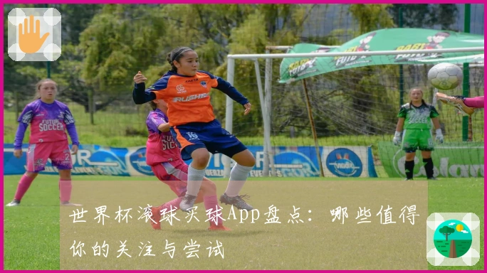世界杯滚球买球App盘点：哪些值得你的关注与尝试