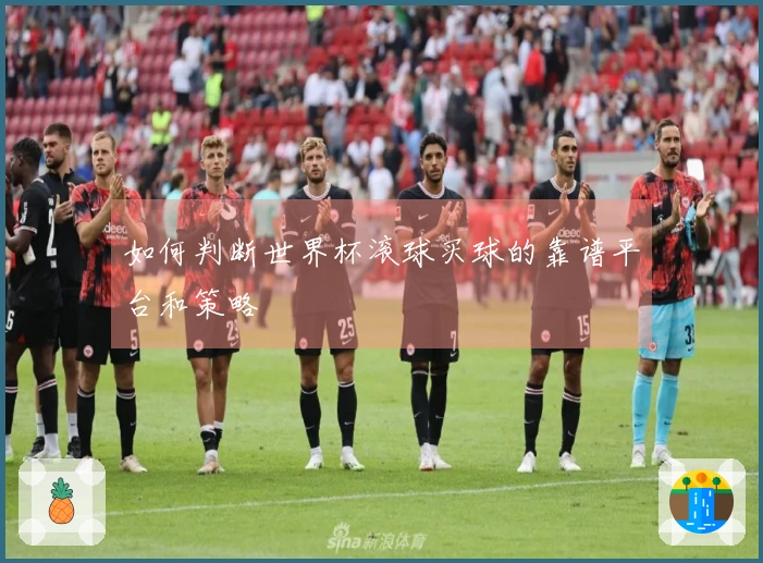 如何判断世界杯滚球买球的靠谱平台和策略