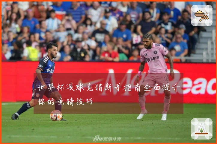 世界杯滚球竞猜新手指南全面提升你的竞猜技巧