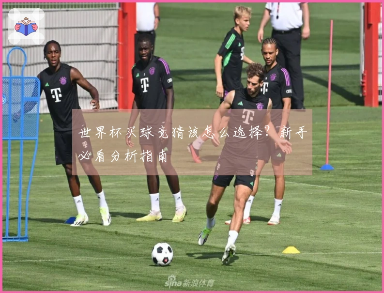 世界杯买球竞猜该怎么选择？新手必看分析指南
